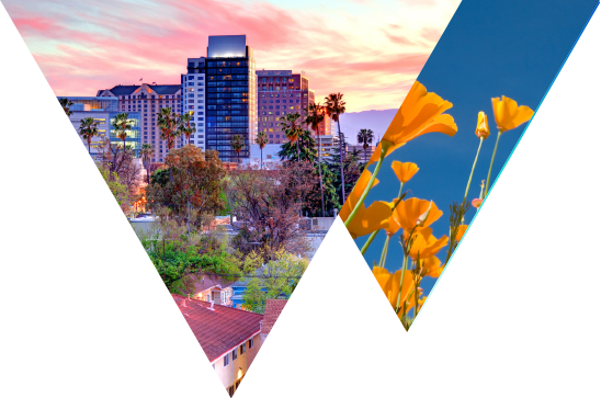 California poppy flowers and beaches