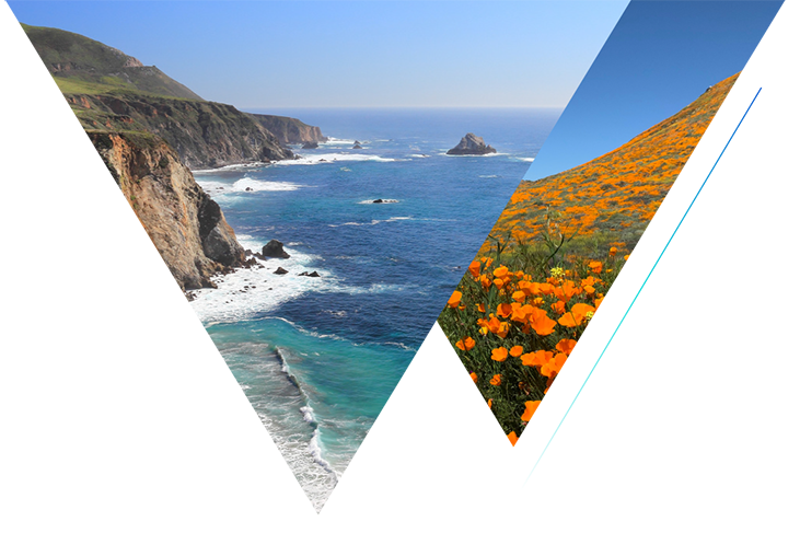 California poppy flowers and beaches