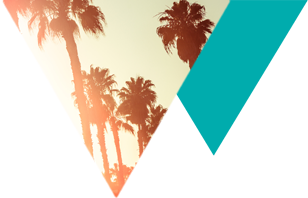 Palm trees