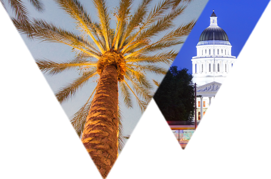 Palm tree with CA capitol building