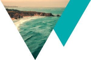 California beach banner